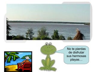 No te pierdas de disfrutar sus hermosas playas… 