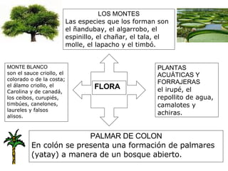 LOS MONTES Las especies que los forman son el ñandubay, el algarrobo, el espinillo, el chañar, el tala, el molle, el lapacho y el timbó. FLORA MONTE BLANCO son el sauce criollo, el colorado o de la costa; el álamo criollo, el Carolina y de canadá, los ceibos, curupiés, timbúes, canelones, laureles y falsos alisos. PLANTAS ACUÁTICAS Y FORRAJERAS el irupé, el repollito de agua, camalotes y achiras. PALMAR DE COLON En colón se presenta una formación de palmares (yatay) a manera de un bosque abierto.  