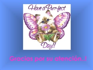 Gracias por su atención..! 