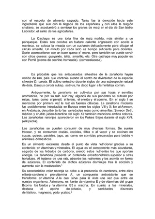 con el respeto de alimento sagrado. Tanto fue la devoción hacia este
ingrediente que aún con la llegada de los españoles y con ellos la religión
cristiana, se acostumbró a sembrar los granos de maíz en el día de San Isidro
Labrador, el santo de los agricultores.
La Cachapa es una torta fina de maíz molido, más similar a un
panqueque. Estas son cocidas en budare caliente engrasado con aceite o
manteca, se coloca la mezcla con un cucharón delicadamente para dibujar el
círculo amarillo. Un minuto por cada lado es tiempo suficiente para dorarlas.
Suele acompañarse con un buen queso e’ mano, pero también se puede servir
con otros quesos: guayanés, telita, amarillo, etc. Otra cachapa muy popular es
con Pernil (pierna de cochino horneada). (comoeslacosa).
Es probable que los antepasados silvestres de la zanahoria hayan
venido de Irán, país que continúa siendo el centro de diversidad de la especie
silvestre D. carota. El cultivo selectivo durante siglos de una subespecie natural
de ésta, Daucus carota subsp. sativus, ha dado lugar a la hortaliza común.
Antiguamente, la zanahoria se cultivaba por sus hojas y semillas
aromáticas, no por su raíz. Aún hoy, algunos de sus parientes se cultivan por
éstas, tales como el perejil, el hinojo, el eneldo y el comino. En el siglo I se
menciona por primera vez la raíz en fuentes clásicas. La zanahoria moderna
fue posiblemente introducida en Europa entre los siglos VIII y X; Ibn al-Awwam,
en Andalucía, describe tanto las variedades rojas como amarillas; Simeon Seth,
médico y erudito judeo-bizantino del siglo XI, también menciona ambos colores.
Las zanahorias naranjas aparecieron en los Países Bajos durante el siglo XVII.
(wikipedia).
Las zanahorias se pueden consumir de muy diversas formas. Se suelen
trocear, y se consumen crudas, cocidas, fritas o al vapor y se cocinan en
sopas, guisos, pasteles, jugo, así como en comidas preparadas para bebés y
animales domésticos.
Es un alimento excelente desde el punto de vista nutricional gracias a su
contenido en vitaminas y minerales. El agua es el componente más abundante,
seguido de los hidratos de carbono, siendo estos nutrientes los que aportan
energía. La zanahoria presenta un contenido encarbohidratos superior a otras
hortalizas. Al tratarse de una raíz, absorbe los nutrientes y los asimila en forma
de azúcares. El contenido de dichos azúcares disminuye tras la cocción y
aumenta con la maduración.1
Su característico color naranja se debe a la presencia de carotenos, entre ellos
el beta-caroteno o pro-vitamina A, un compuesto antioxidante que se
transforma en vitamina A la cual sirve para la vista una vez que entra en
nuestro organismo. Asimismo, es fuente de vitamina E y de vitaminas del grupo
Bcomo los folatos y la vitamina B3 o niacina. En cuanto a los minerales,
destaca el aporte de potasio, y cantidades discretas
de fósforo, magnesio, yodo ycalcio.2
 