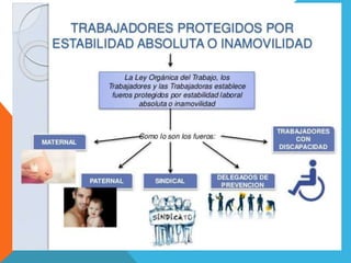 Estabilidad Laboral 