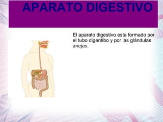 APARATO DIGESTIVO
El aparato digestivo esta formado por
el tubo digentibo y por las glándulas
anejas.

 