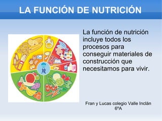 LA FUNCIÓN DE NUTRICIÓN
La función de nutrición
incluye todos los
procesos para
conseguir materiales de
construcción que
necesitamos para vivir.

Fran y Lucas colegio Valle Inclán
6ºA

 