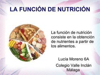 LA FUNCIÓN DE NUTRICIÓN

La función de nutrición
consiste en la obtención
de nutrientes a partir de
los alimentos.
Lucía Moreno 6A
Colegio Valle Inclán
Málaga

 