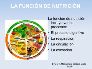 LA FUNCIÓN DE NUTRICIÓN
La función de nutrición
incluye varios
procesos:


El proceso digestivo



La respiración



La circulación



La excreción

Lylu y F.Manuel del colegio Valle –
Inclán

 