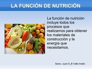 LA FUNCIÓN DE NUTRICIÓN
La función de nutrición
incluye todos los
procesos que
realizamos para obtener
los materiales de
construcción y la
energía que
necesitamos.

Samu -Juan 6_B Valle Inclán

 