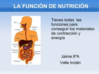 LA FUNCIÓN DE NUTRICIÓN
Tienes todas las
funciones para
conseguir los materiales
de contracción y
energía

Jaime 6ºA
Valle Inclán

 