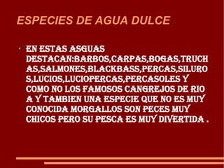 ESPECIES DE AGUA DULCE En estas asguas destacan:barbos,carpas,bogas,truchas,salmones,blackbass,percas,siluros,lucios,luciopercas,percasoles y como no los famosos cangrejos de rio a y tambien una especie que no es muy conocida morgallos son peces muy chicos pero su pesca es muy divertida . 