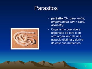 Parasitos parásito  (Gr. para, entre, emparentado con + sites, alimento)  Organismo que vive a expensas de otro o en otro organismo de una especie distinta y deriva de éste sus nutrientes 