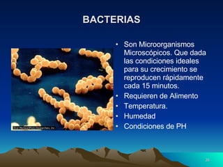 BACTERIAS Son Microorganismos Microscópicos. Que dada las condiciones ideales para su crecimiento se reproducen rápidamente cada 15 minutos. Requieren de Alimento Temperatura. Humedad Condiciones de PH 