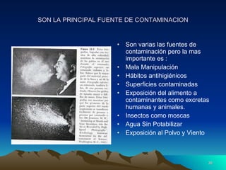 SON LA PRINCIPAL FUENTE DE CONTAMINACION Son varias las fuentes de contaminación pero la mas importante es : Mala Manipulación  Hábitos antihigiénicos Superficies contaminadas Exposición del alimento a contaminantes como excretas humanas y animales. Insectos como moscas  Agua Sin Potabilizar Exposición al Polvo y Viento 