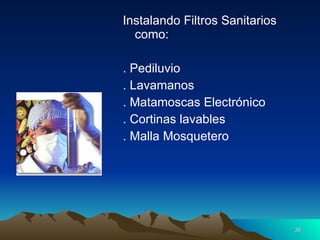 Instalando Filtros Sanitarios como: . Pediluvio . Lavamanos . Matamoscas Electrónico . Cortinas lavables . Malla Mosquetero 