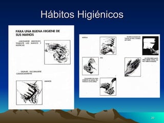 Hábitos Higiénicos 