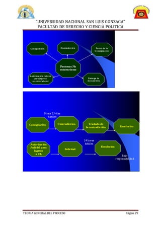 “UNIVERSIDAD NACIONAL SAN LUIS GONZAGA”
FACULTAD DE DERECHO Y CIENCIA POLITICA
TEORIA GENERAL DEL PROCESO Página 29
 