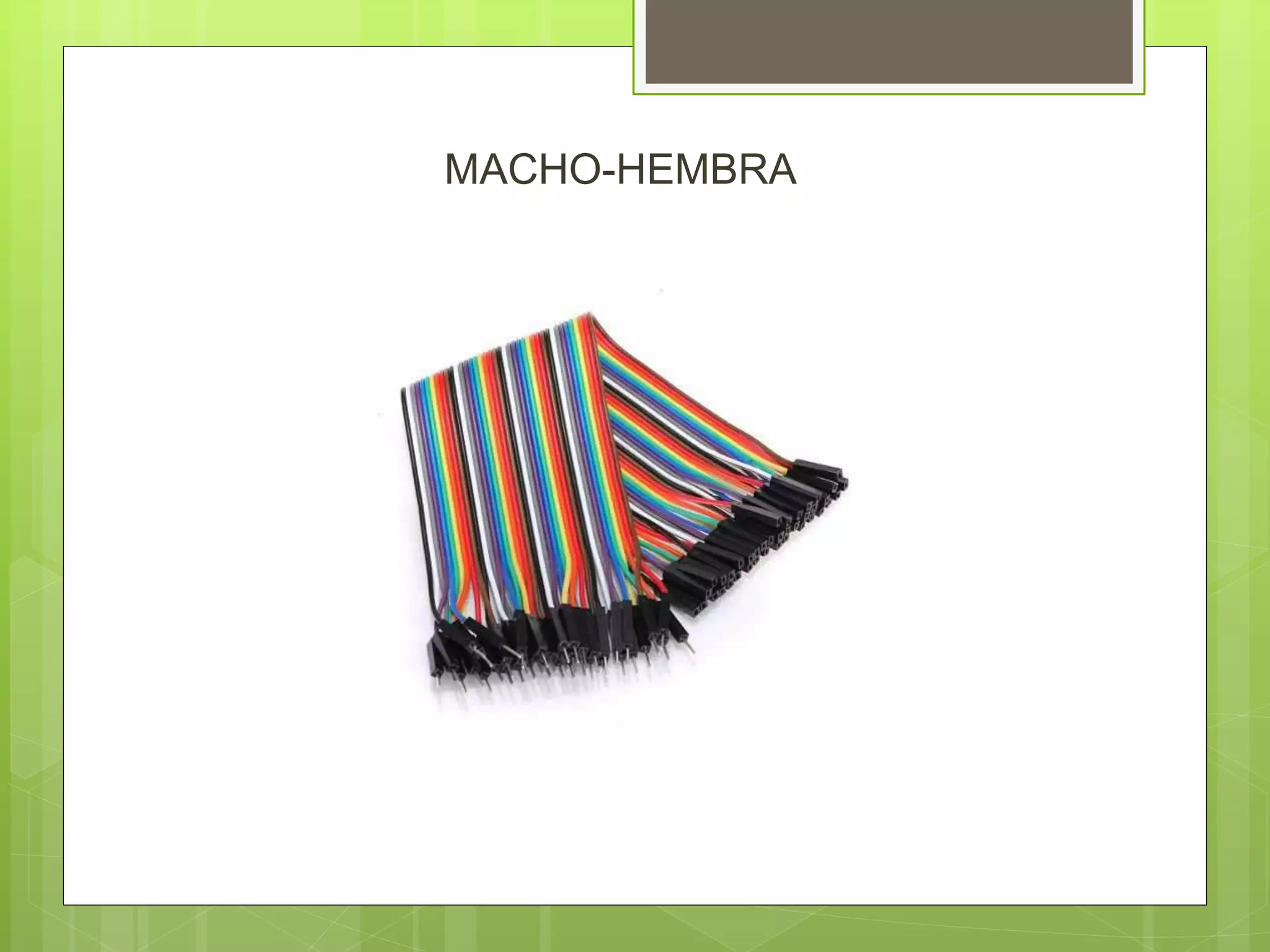 MACHO-HEMBRA
 