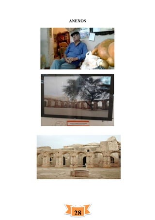 28
ANEXOS
 