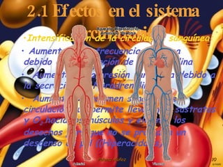 2.1 Efectos en el sistema circulatorio <ul><li>Intensificación de la circulación sanguínea: </li></ul><ul><li>Aumento de l...