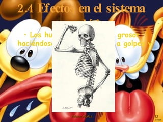 2.4 Efectos en el sistema esquelético Los huesos aumentan de grosor haciéndose más resistentes a golpes y lesiones 