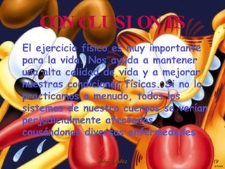 CONCLUSIONES El ejercicio físico es muy importante para la vida. Nos ayuda a mantener una alta calidad de vida y a mejorar nuestras condiciones físicas. Si no lo practicamos a menudo, todos los sistemas de nuestro cuerpos se verían perjudicialmente afectados causándonos diversas enfermedades. 