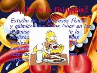 1.1 ¿Qué es la fisiología? Estudio de los procesos físicos y químicos que tiene lugar en los organismos vivios durante la realización de sus funciones vitales. Estudia actividades como el crecimiento, la respiracion, el metabolísmo, la nutrición...etc 