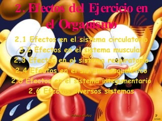 2. Efectos del Ejercicio en el Organismo 2.1 Efectos en el sistema circulatorio 2.2 Efectos en el sistema muscular 2.3 Efectos en el sistema respiratorio 2.4 Efectos en el sistema esquelético 2.5 Efectos en el sistema integumentario 2.6 Efectos diversos sistemas 