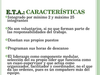 E.T.A.:  CARACTERÍSTICAS Integrado por mínimo 2 y máximo 25 integrantes No son voluntarios, si no que forman parte de las responsabilidades del trabajo.  Diseñan sus propios puestos Programan sus horas de descanso El liderazgo como componente medular, selección del su propio líder que funciona como un cuasi-supervisor y que actúa como organizador, facilitador y coordinador, no el que da las ordenes, pues es un compañero más del equipo. 
