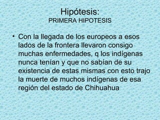 Hipótesis: PRIMERA HIPOTESIS Con la llegada de los europeos a esos lados de la frontera llevaron consigo muchas enfermedades, q los indígenas nunca tenían y que no sabían de su existencia de estas mismas con esto trajo la muerte de muchos indígenas de esa región del estado de Chihuahua  