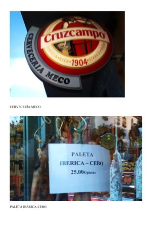 CERVECERÍA MECO




PALETA IBÁRICA-CEBO
 