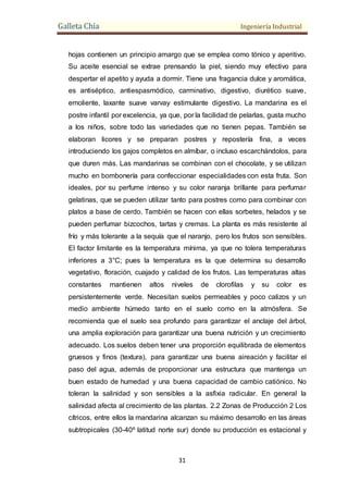 Galleta Chía Ingeniería Industrial
31
hojas contienen un principio amargo que se emplea como tónico y aperitivo.
Su aceite esencial se extrae prensando la piel, siendo muy efectivo para
despertar el apetito y ayuda a dormir. Tiene una fragancia dulce y aromática,
es antiséptico, antiespasmódico, carminativo, digestivo, diurético suave,
emoliente, laxante suave varvay estimulante digestivo. La mandarina es el
postre infantil por excelencia, ya que, por la facilidad de pelarlas, gusta mucho
a los niños, sobre todo las variedades que no tienen pepas. También se
elaboran licores y se preparan postres y repostería fina, a veces
introduciendo los gajos completos en almíbar, o incluso escarchándolos, para
que duren más. Las mandarinas se combinan con el chocolate, y se utilizan
mucho en bombonería para confeccionar especialidades con esta fruta. Son
ideales, por su perfume intenso y su color naranja brillante para perfumar
gelatinas, que se pueden utilizar tanto para postres como para combinar con
platos a base de cerdo. También se hacen con ellas sorbetes, helados y se
pueden perfumar bizcochos, tartas y cremas. La planta es más resistente al
frío y más tolerante a la sequía que el naranjo, pero los frutos son sensibles.
El factor limitante es la temperatura mínima, ya que no tolera temperaturas
inferiores a 3°C; pues la temperatura es la que determina su desarrollo
vegetativo, floración, cuajado y calidad de los frutos. Las temperaturas altas
constantes mantienen altos niveles de clorofilas y su color es
persistentemente verde. Necesitan suelos permeables y poco calizos y un
medio ambiente húmedo tanto en el suelo como en la atmósfera. Se
recomienda que el suelo sea profundo para garantizar el anclaje del árbol,
una amplia exploración para garantizar una buena nutrición y un crecimiento
adecuado. Los suelos deben tener una proporción equilibrada de elementos
gruesos y finos (textura), para garantizar una buena aireación y facilitar el
paso del agua, además de proporcionar una estructura que mantenga un
buen estado de humedad y una buena capacidad de cambio catiónico. No
toleran la salinidad y son sensibles a la asfixia radicular. En general la
salinidad afecta al crecimiento de las plantas. 2.2 Zonas de Producción 2 Los
cítricos, entre ellos la mandarina alcanzan su máximo desarrollo en las áreas
subtropicales (30-40º latitud norte sur) donde su producción es estacional y
 