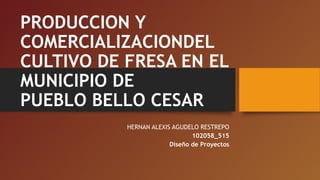 PRODUCCION Y
COMERCIALIZACIONDEL
CULTIVO DE FRESA EN EL
MUNICIPIO DE
PUEBLO BELLO CESAR
HERNAN ALEXIS AGUDELO RESTREPO
102058_515
Diseño de Proyectos
 

 