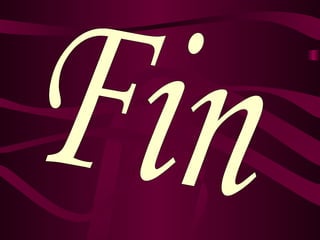 Fin 