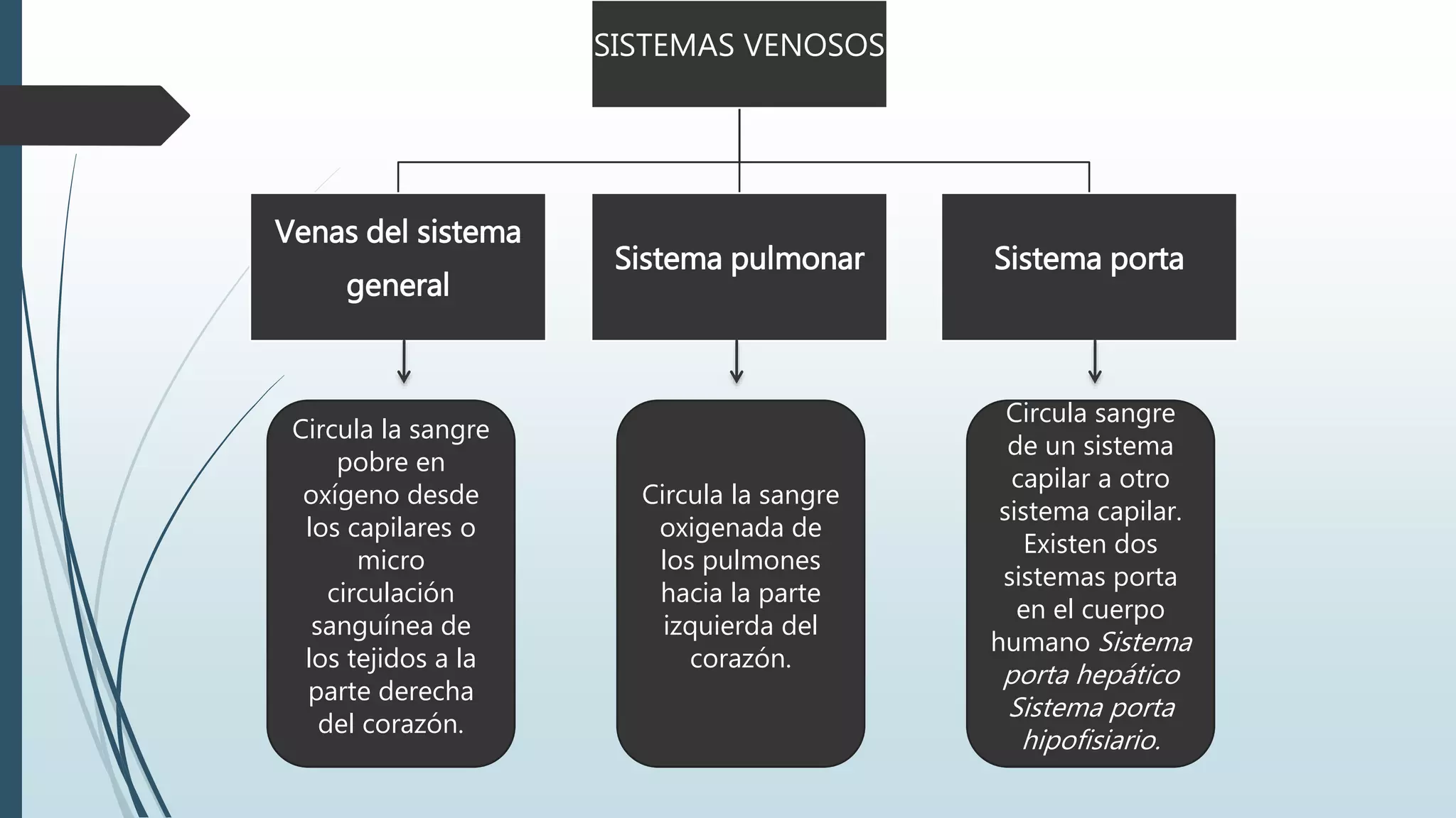 SISTEMAS VENOSOS
Venas del sistema
general
Sistema pulmonar Sistema porta
Circula la sangre
pobre en
oxígeno desde
los capilares o
micro
circulación
sanguínea de
los tejidos a la
parte derecha
del corazón.
Circula la sangre
oxigenada de
los pulmones
hacia la parte
izquierda del
corazón.
Circula sangre
de un sistema
capilar a otro
sistema capilar.
Existen dos
sistemas porta
en el cuerpo
humano Sistema
porta hepático
Sistema porta
hipofisiario.
 