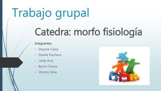 Trabajo grupal
Catedra: morfo fisiología
Integrantes:
- Dayane Caiza
- Giselle Pacheco
- Leidy Ruiz
- Byron Tiuma
- Jhonny Silva
 