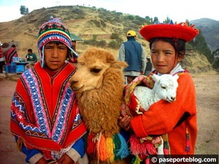 © paseporteblog.com