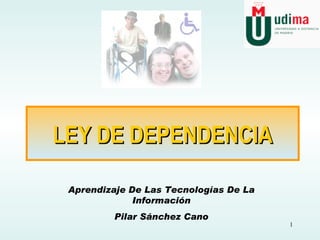 LEY DE DEPENDENCIA Aprendizaje De Las Tecnologías De La Información Pilar Sánchez Cano 