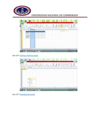 UNIVERSIDAD NACIONAL DE CHIMBORAZO
Lecc 14 ª Insertar y Eliminar Hojas
Lecc 15 ª Formatos de Fuente
 