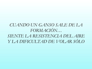 CUANDO UN GANSO SALE DE LA FORMACIÓN… SIENTE LA RESISTENCIA DEL AIRE Y LA DIFICULTAD DE VOLAR SÓLO 
