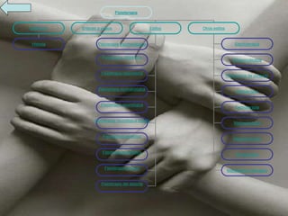 Fisioterapia
Definición Estilos Otros estilos
Fisioterapia traumatológica
Fisioterapia del deporte
Fisioterapia pediátrica
Fisioterapia geriátrica
Fisioterapia neurológica infantil
Fisioterapia reumatológica
Fisioterapia respiratoria
Fisioterapia Obstétrica
Fisioterapia manual
Fisioterapia neurológica
Electroterapia
Ultrasonoterapia
Hipertermia de contacto
Hidroterapia
Termoterapia
Mecanoterapia
Magnetoterapia
Presoterapia
Historia
Masoterapia (Masajes)
Enlaces a videos
 