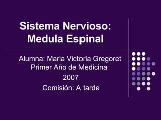 Sistema Nervioso: Medula Espinal Alumna: Maria Victoria Gregoret Primer Año de Medicina  2007 Comisión: A tarde 