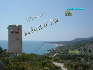 La Serra D' Irta Treball de: Torre Badum Denis  i  Nantadet Mar Mediterrani Flora i Fauna Platja del Pebret. 