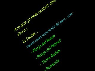 Ara que ja hem acabat amb la flora i  la fauna … Vorem coses importants del parc , com  : - Platja del Russo  - Platja del Pebret - Torre Badum  - Peniscola  