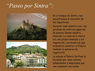 “ Paseo por Sintra”: En el bosque de Sintra, nos encontramos el Convento de los Capuchinos. Durante toda nuestra ruta, los jardines de exóticas especies de plantas llaman nuestra atención. La cima de la sierra era una piedra desnuda y sin vegetación. Los monarcas que ordenaron construir el Palacio, también lo poblaron de vegetación.  La subida al Palacio Da Pena la hacemos por unos caminos adoquinados y empinados que van rodeando una colina. 