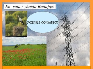 En  ruta : ¡hacia Badajoz! ¿VIENES CONMIGO? 