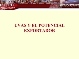 UVAS Y EL POTENCIAL EXPORTADOR 