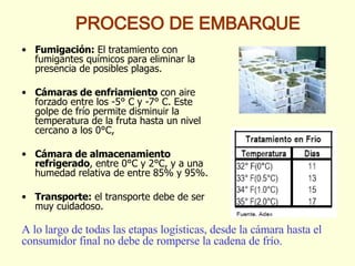 Fumigación:  El tratamiento con fumigantes químicos para eliminar la presencia de posibles plagas.  Cámaras de enfriamiento  con aire forzado entre los -5° C y -7° C. Este golpe de frío permite disminuir la temperatura de la fruta hasta un nivel cercano a los 0°C,  Cámara de almacenamiento refrigerado , entre 0°C y 2°C, y a una humedad relativa de entre 85% y 95%. Transporte:  el transporte debe de ser muy cuidadoso.  PROCESO DE EMBARQUE A lo largo de todas las etapas logísticas, desde la cámara hasta el consumidor final no debe de romperse la cadena de frío. 