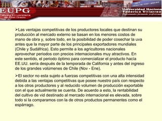 Las ventajas competitivas de los productores locales que destinan su producción al mercado externo se basan en los menores costos de mano de obra y, sobre todo, en la posibilidad de poder cosechar la uva antes que la mayor parte de los principales exportadores mundiales (Chile y Sudáfrica). Esto permite a los agricultores nacionales aprovechar periodos con precios internacionales muy atractivos. En este sentido, el periodo óptimo para comercializar el producto hacía EE.UU. sería después de la temporada de California y antes del ingreso de los grandes volúmenes de Chile (Nov - Ene). El sector no esta sujeto a fuerzas competitivas con una alta intensidad debida a las ventajas competitivas que posee nuestro país con respecto a los otros productores y al reducido volumen de producción exportable con el que actualmente se cuenta.   De acuerdo a esto, la rentabilidad del cultivo de vid destinado al mercado internacional es elevada, sobre todo si la comparamos con la de otros productos permanentes como el espárrago. 