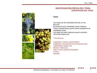 Cepas. Las cepas son las variedades del fruto, la uva, de la vid.  Encontramos de 2 variedades: tintas y blancas. Tienen características que las hacen poseedoras de cualidades únicas. Las cepas de mayor relevancia para la industria vitivinícola chilena son: Tintas Blancas CABERNET FRANC CHARDONNAY CABERNET SAUVIGNON SAUVIGNON BLANC CARMENERE SEMILLON MERLOT RIESLING PINOT NOIR GEWÜRSTRAMINER SYRAH MALBEC DESCRIPCION DEL TEMA Vino + Chile INVESTIGACION PREVIA DEL TEMA CENTRO DE DESARROLLO  Y DIFUSION  CULTURAL VITIVINICOLA 