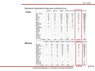 Vino + Chile Distribución Nacional de vides para vinificación (ha.) Tintos Blancos CENTRO DE DESARROLLO  Y DIFUSION  CULTURAL VITIVINICOLA 