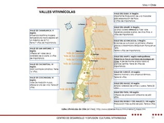 Vino + Chile VALLES VITIVINÍCOLAS CENTRO DE DESARROLLO  Y DIFUSION  CULTURAL VITIVINICOLA 