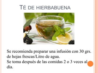 TÉ DE HIERBABUENA




Se recomienda preparar una infusión con 30 grs.
de hojas frescas/Litro de agua.
Se toma después de las comidas 2 o 3 veces al
día.
 
